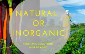 NATURAL-VS-INORGANIC-BLOG