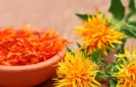 SAFFLOWER
