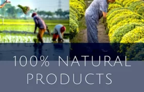 WHY NISARG AGRO ARTICLE BLOG