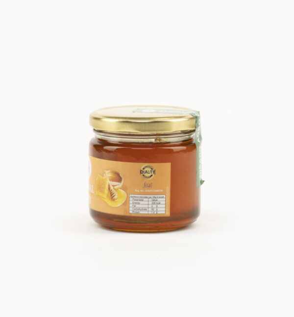 Natural Honey Regular - 400gm1